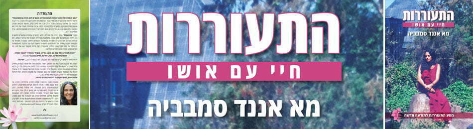 התעוררות, חיי עם אושו, מאת אננד סמבביה